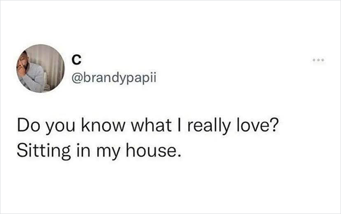 A tweet humorously expressing anti-work sentiment, highlighting a love for relaxing at home.