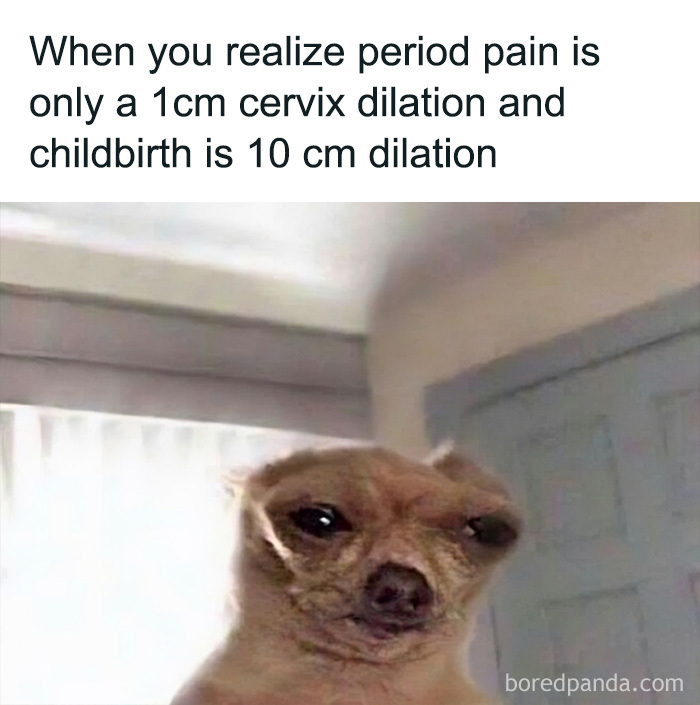 Dog makes uncomfortable face, reacting to period pain meme about cervix dilation comparison.