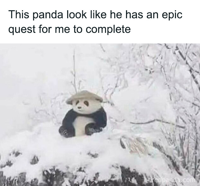 A panda in snow wearing a straw hat, resembling a wise quest giver; funny and relatable meme for men.