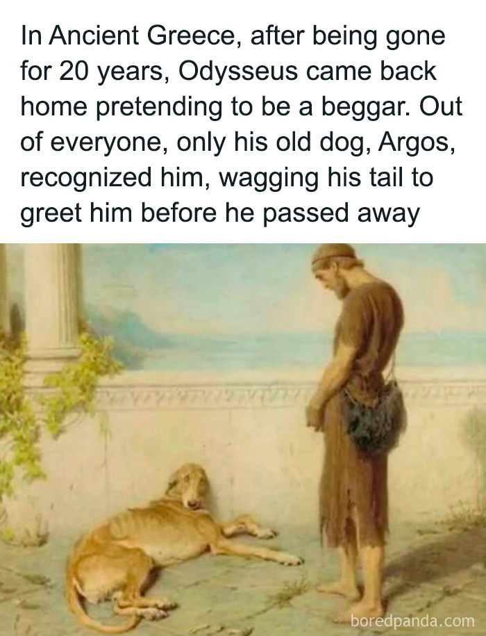 Ancient Greek scene with Odysseus and his loyal dog, Argos. Funny and relatable meme for men about loyalty and friendship.