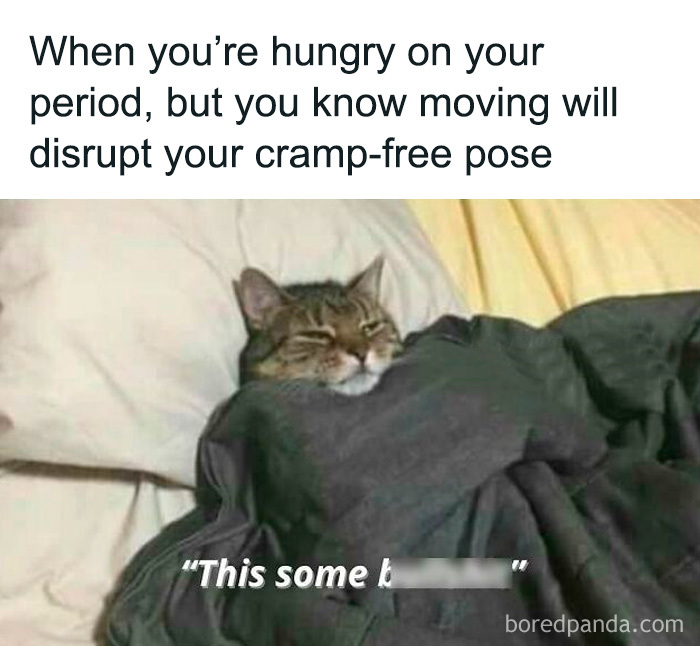 Cat wrapped in a blanket with text about period hunger, highlighting humor in dealing with period discomfort.