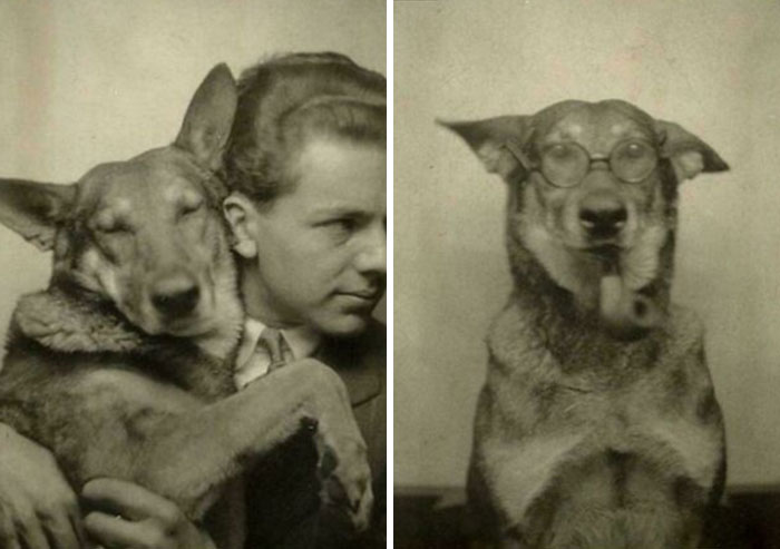 Vintage photos of a dog with human-like poses; one cuddling with a man, the other wearing glasses and a pipe. Historical charm.
