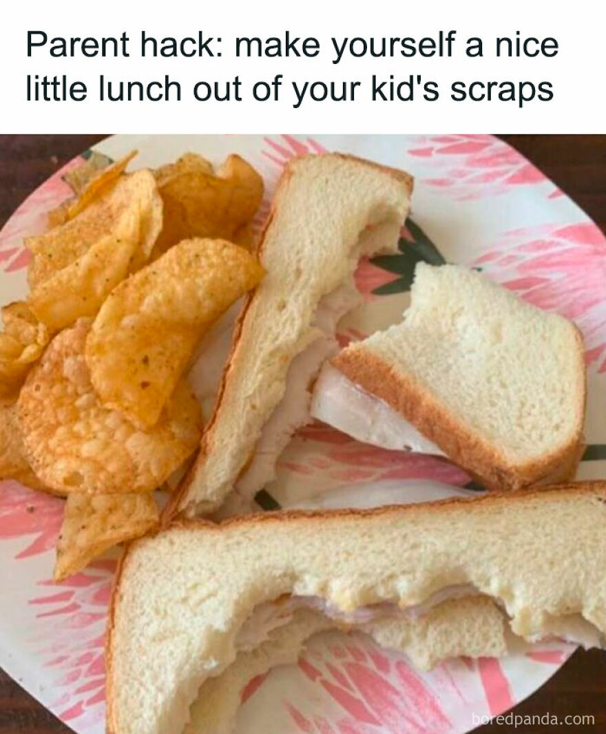 Plate with a sandwich missing bites and chips, illustrating the humor and creativity in parenthood.