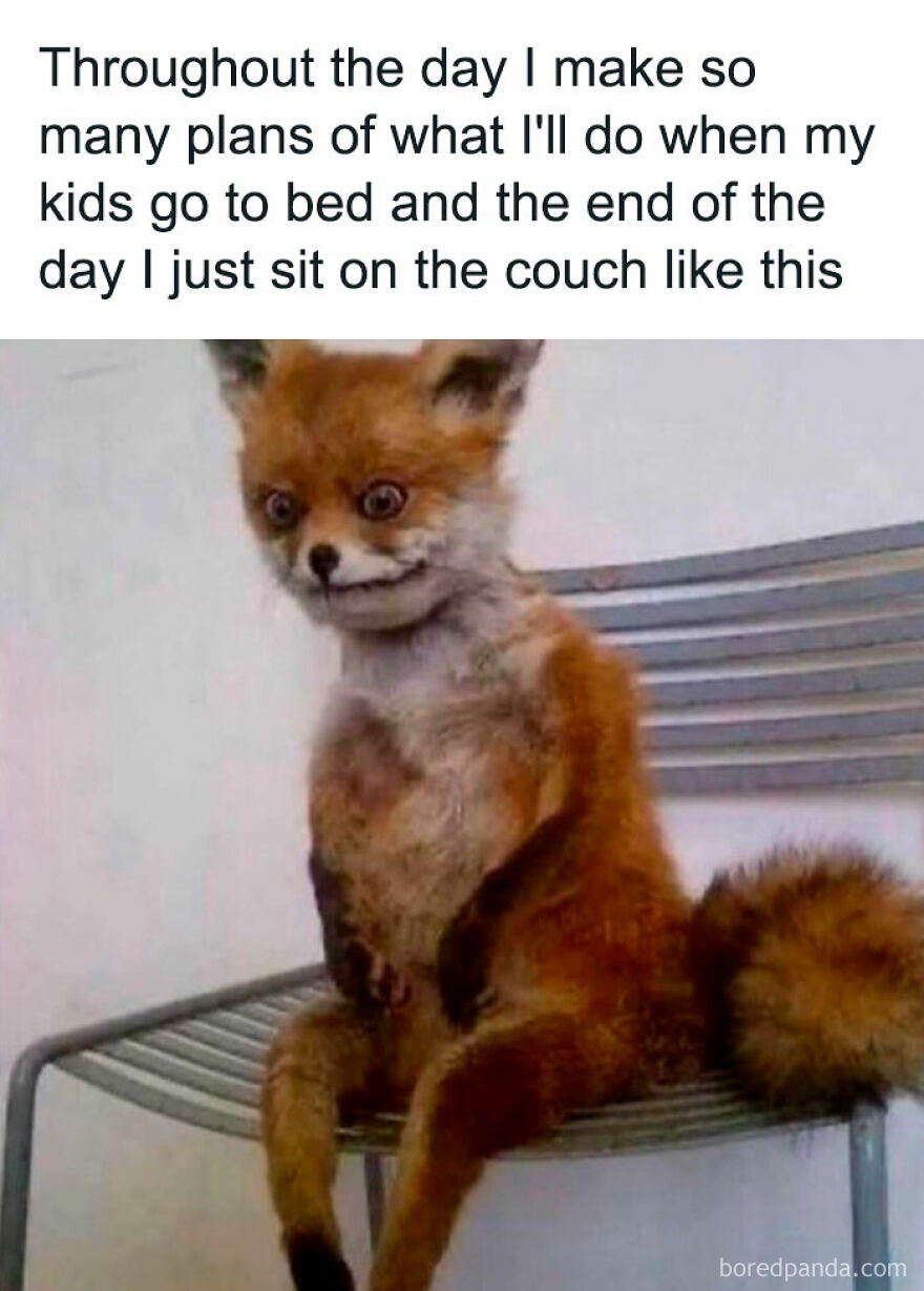 Taxidermy fox meme capturing sleep-deprived parenthood with humorous text about parenting plans gone awry.