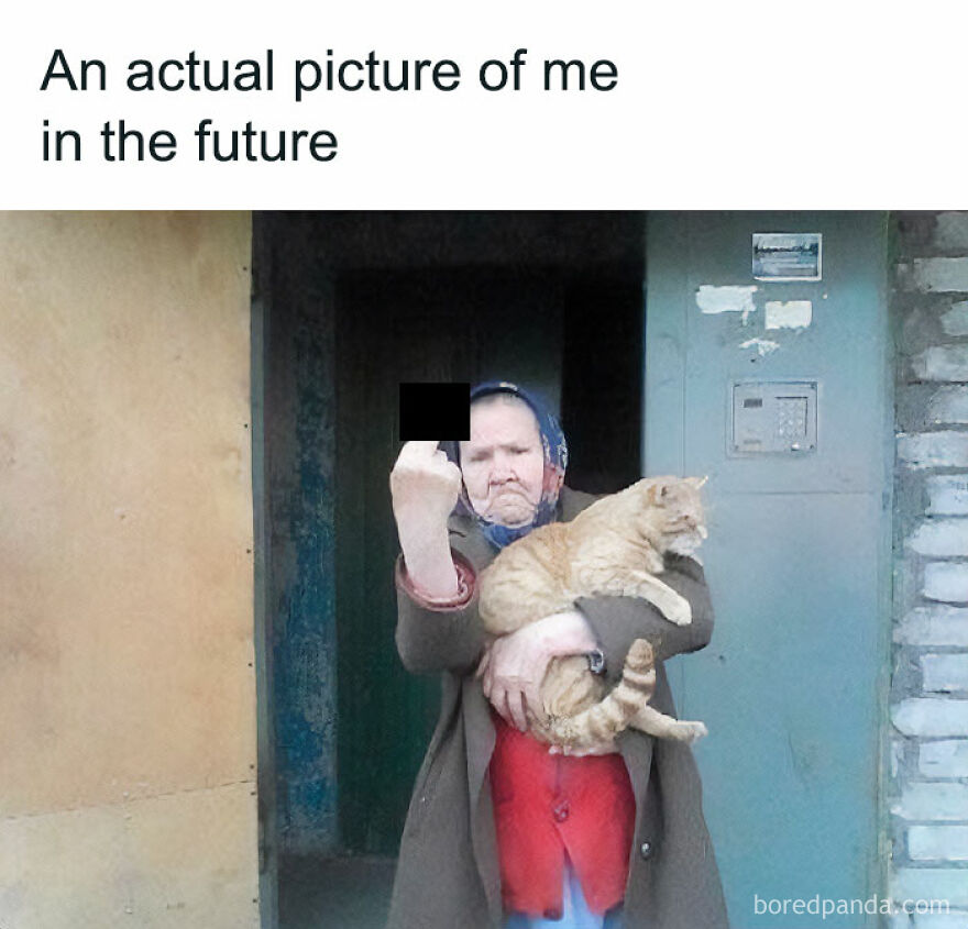Elderly woman holding cat and gesturing humorously, embodying a relatable meme from the "Girl Posts" series.