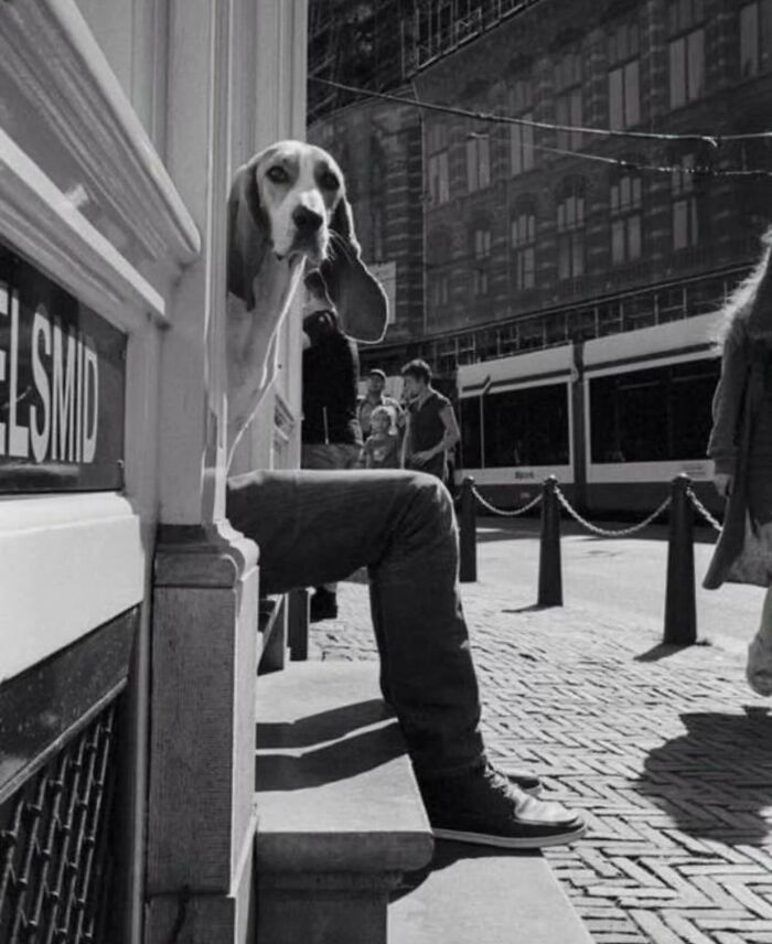 Black and white street photo showing a dog and man sitting, blending into urban city scene shared on Instagram page