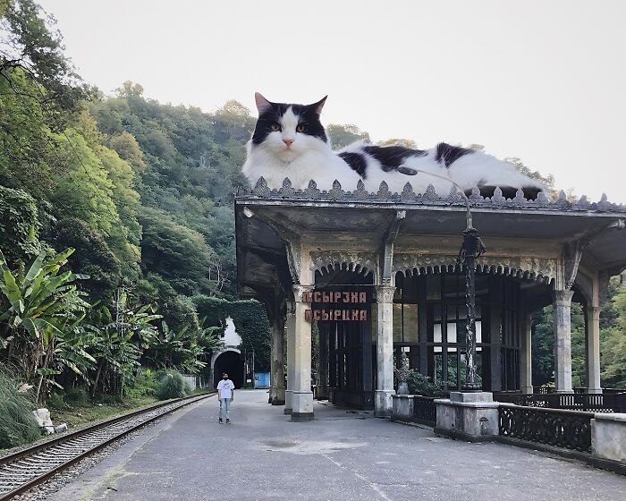 Surreal scene with a giant cat Photoshopped atop an old railway station near lush greenery.