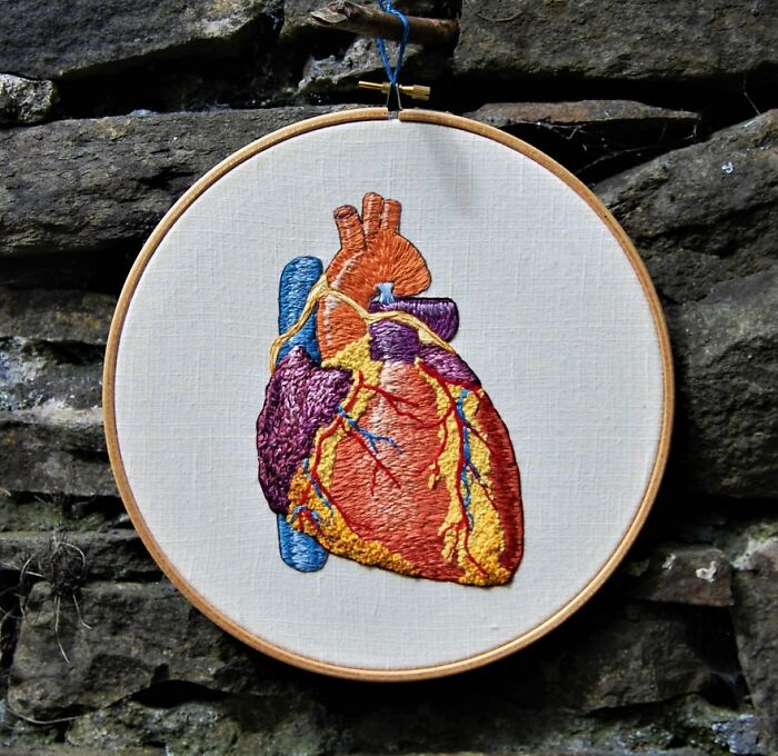 Embroidery work of a detailed anatomical heart in a hoop against a stone background.
