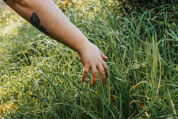 Hand with a tattoo gently touching grass, illustrating the ease of life online through internet hacks.