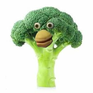 sripriya_r_30 avatar