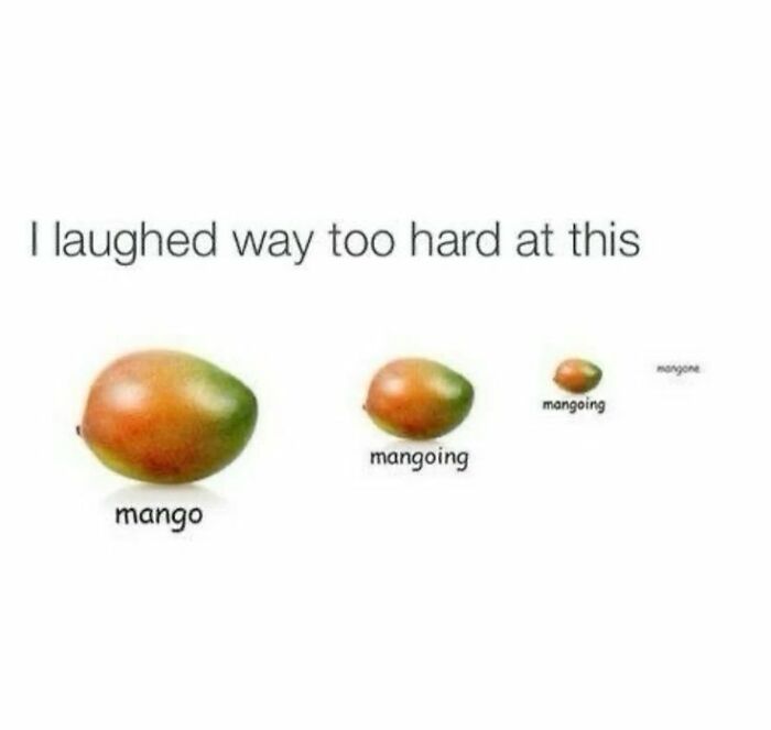 Funny meme showing a mango shrinking in size with captions mango, mangoing, and mangone for humor.