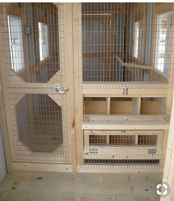 Woodworking ideas for a multi-level wooden enclosure with wire mesh and secure latches inside a workshop.