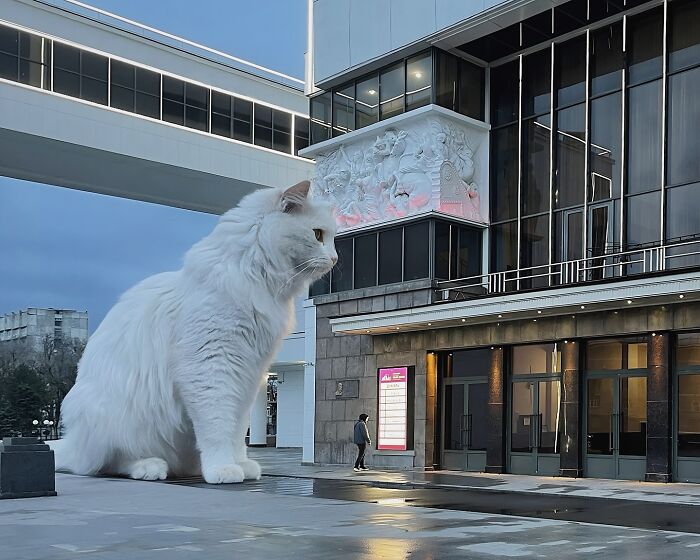 Giant cat Photoshopped into urban setting, creating surreal world with modern architecture in the background.