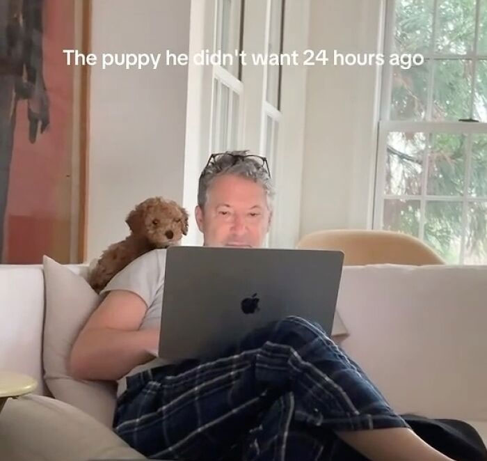 Man with a puppy on the couch, using a laptop.