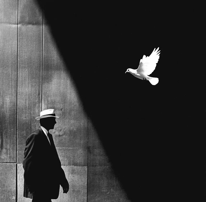 Black and white street photo of a man in a hat and a flying white dove, featured on an Instagram page with 726K followers.
