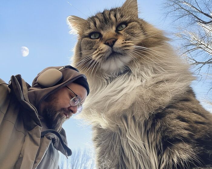 Artist with giant cat in surreal outdoor scene, showcasing creative Photoshop art under a blue sky.