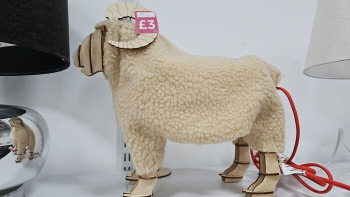 Bizarre secondhand shop find: a sheep-shaped lamp with a price tag of £3.