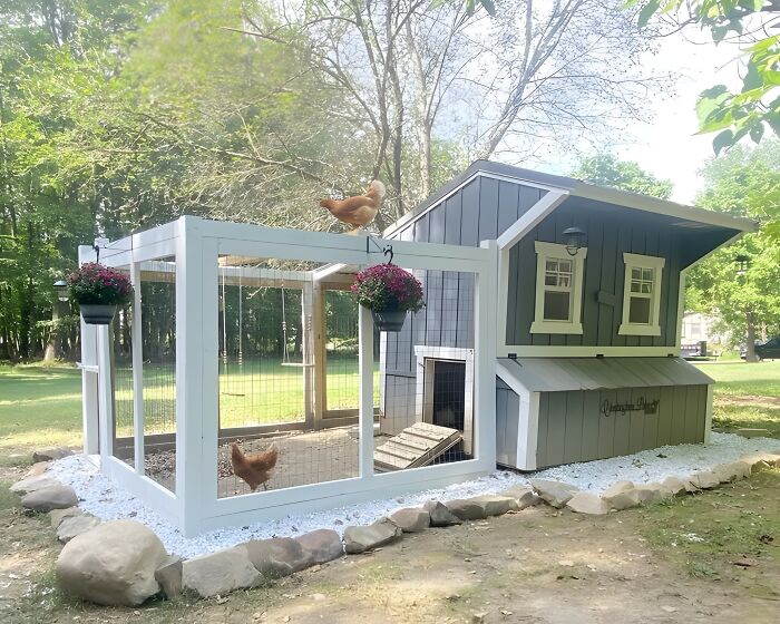 Gallinero moderno de madera pintada en gris y blanco, mostrando habilidades en proyectos con madera y diseño exterior.