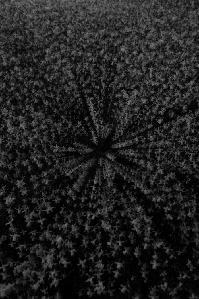 Gradient Loss - 13 March 2025 (23:45)