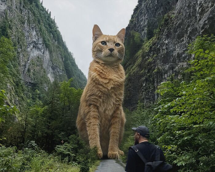 A giant cat photoshopped into a lush valley with a person looking up at it, creating a surreal scene.