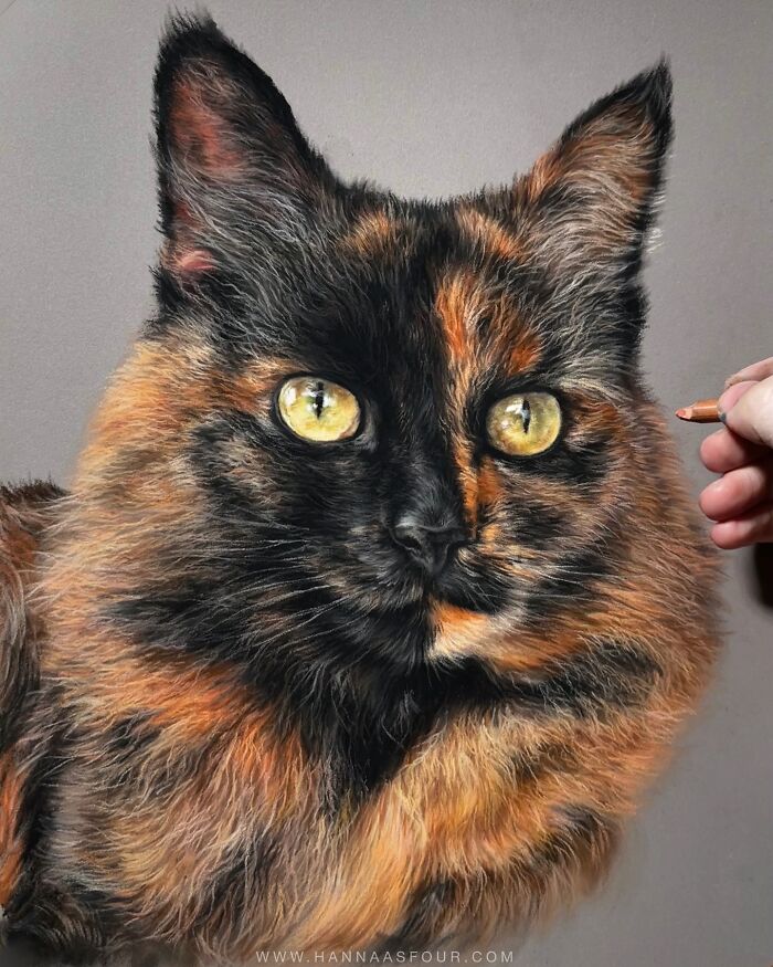 Realistic cat portrait drawn with pencil by Hanna Asfour, showing vibrant fur details and expressive eyes.