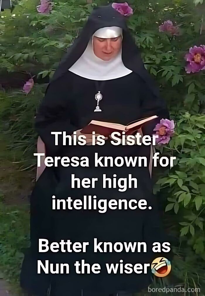 Nun in traditional habit reading a book outdoors with a dad humor meme caption about intelligence and wit