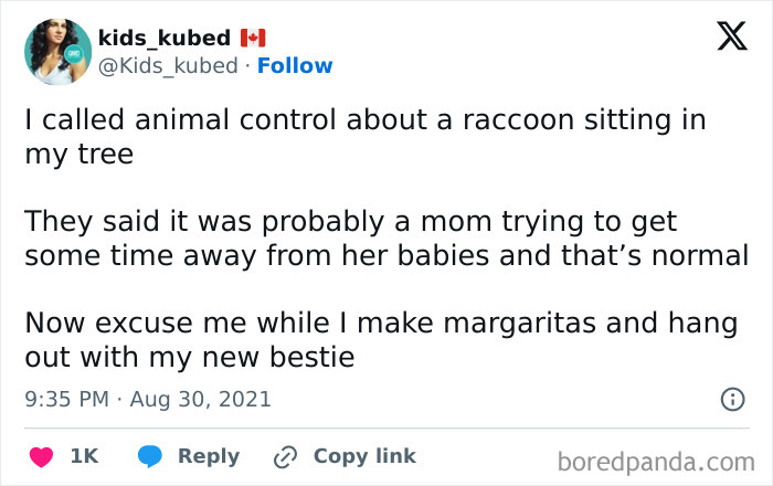 Funny meme about a raccoon relaxing in a tree, animal control comment, and making margaritas with a new friend.