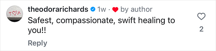 Comment by theodorarichards wishing a swift healing after plastic surgery related to Susan Sarandon's daughter.