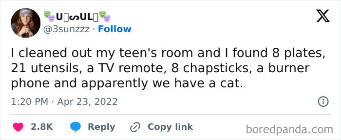 Funny tweet about cleaning a teen's room and discovering unexpected items, including a cat.