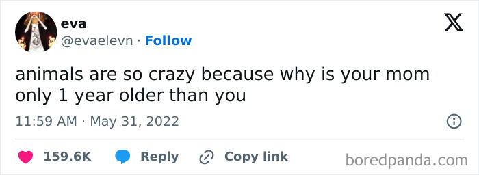 Funny meme about confusing animal ages, with text questioning why a mom is only one year older.