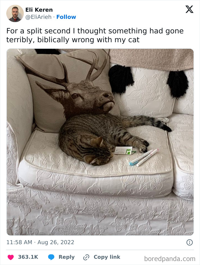 Cat sleeping on a couch with a pillow featuring a deer pattern, resembling the animal's body for a funny tweet moment.