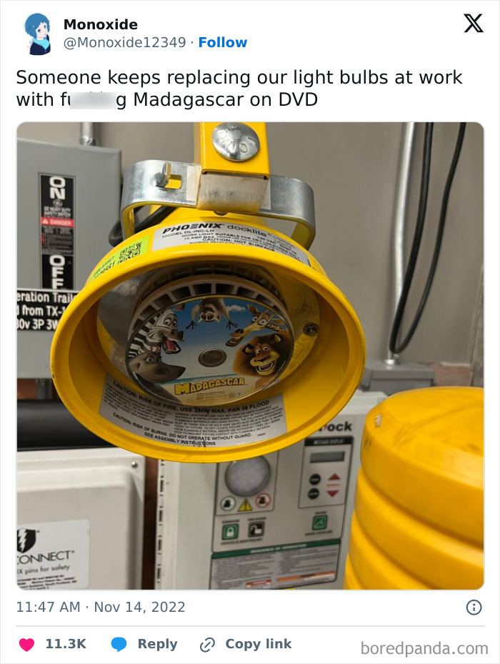 Humorous coworker replaces a light bulb with a Madagascar DVD in a light fixture at work.