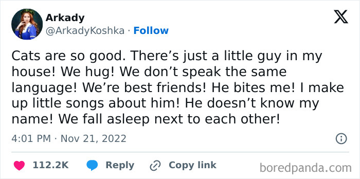 Tweet about cat friendship proving millennials have the best sense of humor.