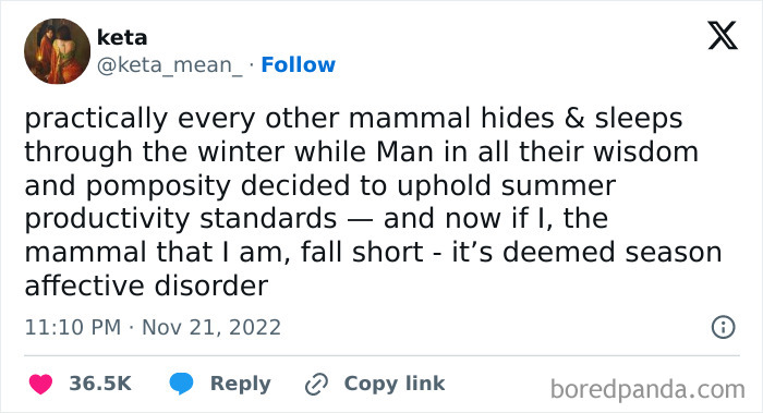 Tweet about winter productivity standards, humorously comparing humans and mammals, relating to the avocado generation.