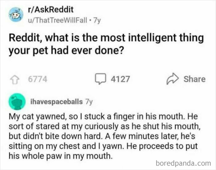 A funny meme about a cat putting its paw in the owner's mouth after yawning.