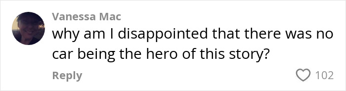 Comment on a dad losing baby at store, expressing disappointment over the lack of a car hero in the story.
