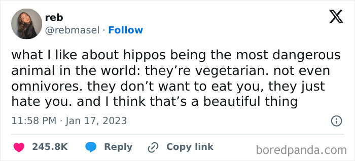 Anti-social meme about hippos being dangerous but vegetarian, highlighting their hostility without predation.