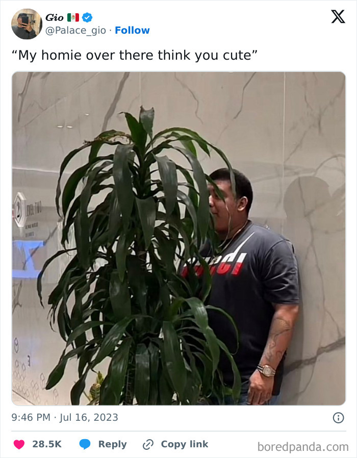 Man standing behind a plant, seemingly hiding, humorously referencing memes about men.