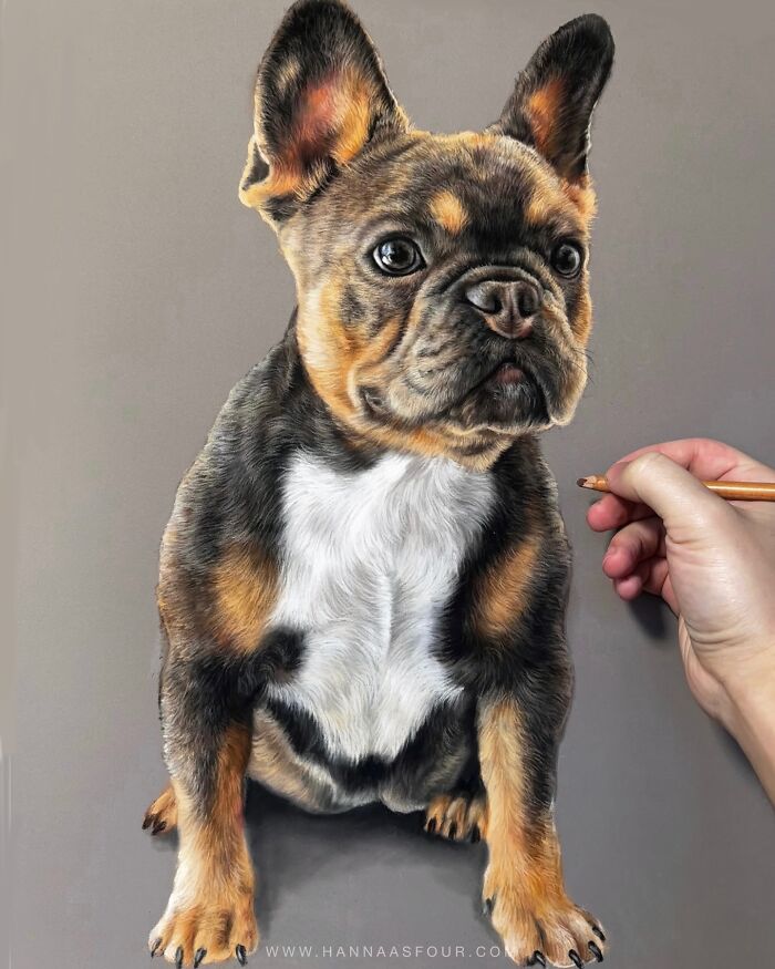 Realistic dog portrait drawn with pencils, featuring artist's hand in progress.