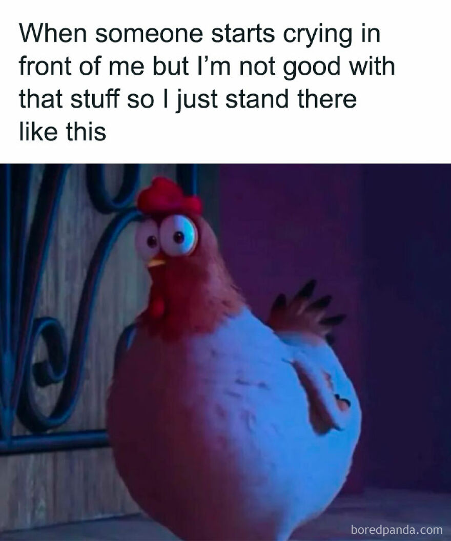 A confused chicken with wide eyes mimics the relatable awkwardness humor in girl posts memes.