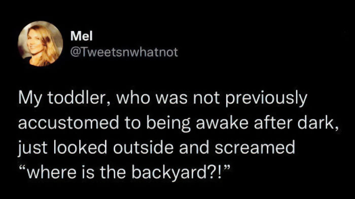 A parenting meme about a toddler's reaction to seeing the backyard after dark, shared on Instagram.