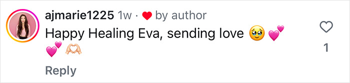 Comment sending love and healing wishes, related to Susan Sarandon's daughter's plastic surgery decision.