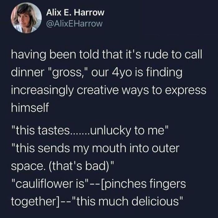 Relatable parenting meme about a 4-year-old creatively describing dinner instead of calling it "gross."
