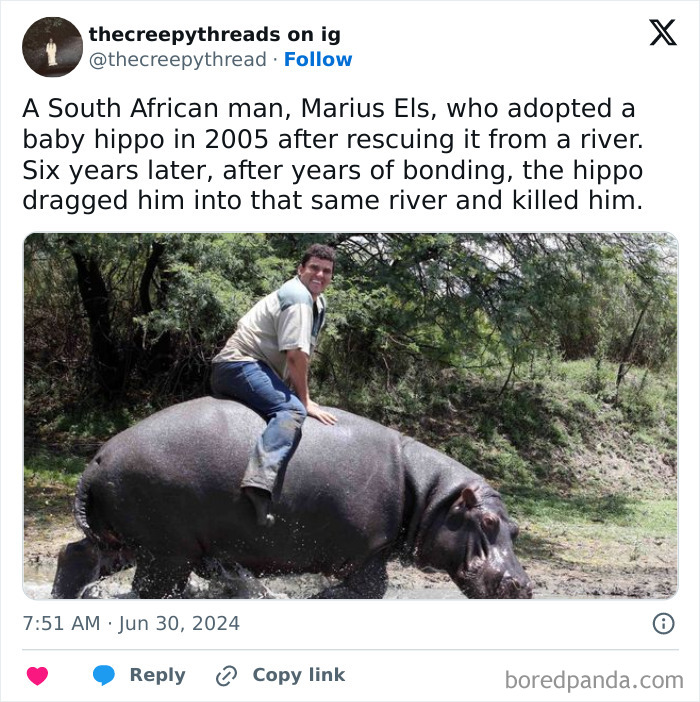 South African man riding a hippo in a natural setting illustrating spooky facts about our world that disturb and surprise.