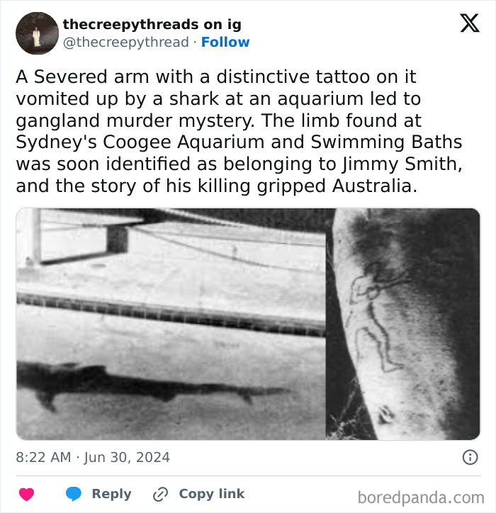 Severed arm with tattoo vomited by shark in aquarium, linked to gangland m****r mystery in spooky world facts.