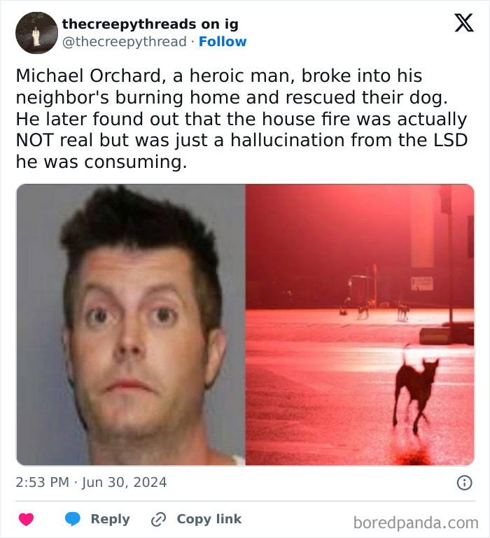 Mugshot of a man and a red-lit street with dogs, illustrating a spooky fact about hallucinations and reality.