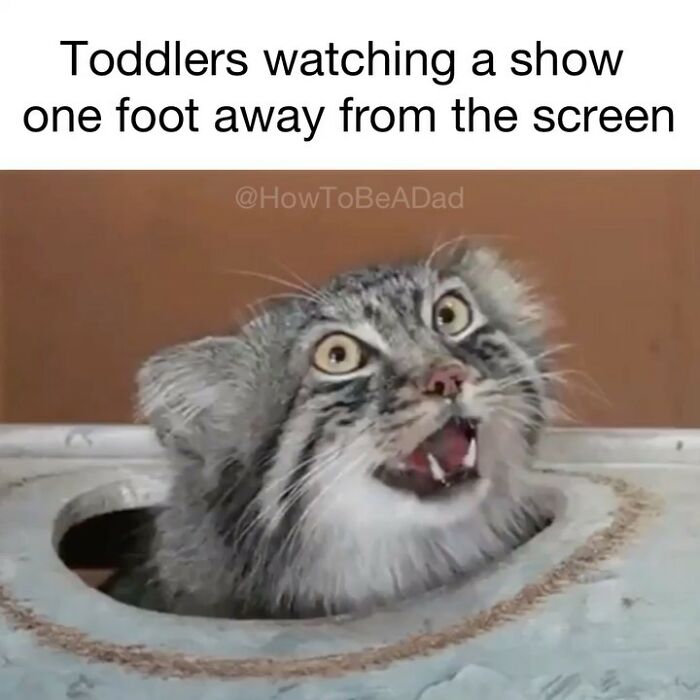 Cat peeking from a hole with funny expression, embodying relatable parenting memes by How To Be A Dad.