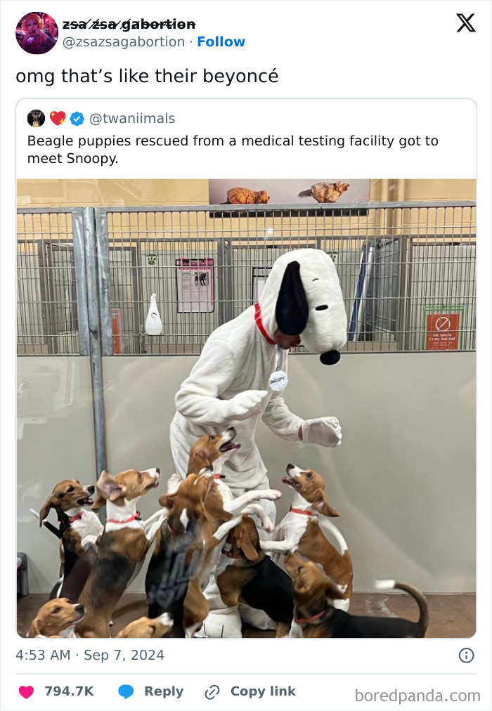 Person in a Snoopy costume surrounded by excited beagle puppies in a cheerful scene.
