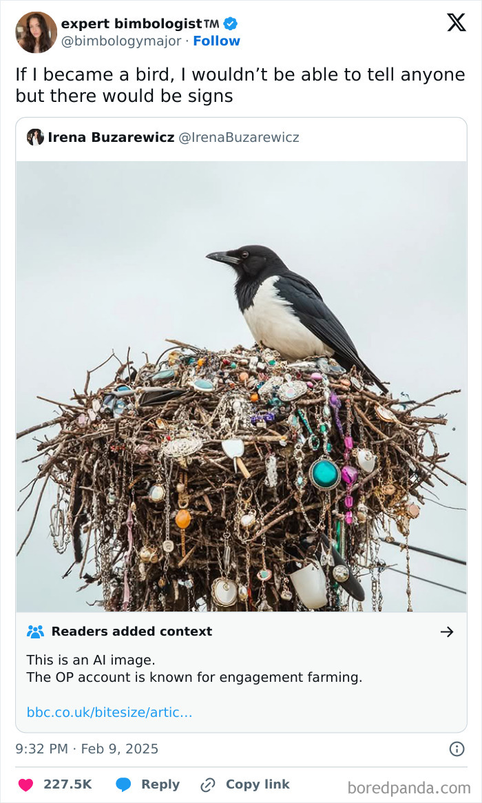 A bird perched atop a nest decorated with jewelry, showcasing a humorous and funny scene.
