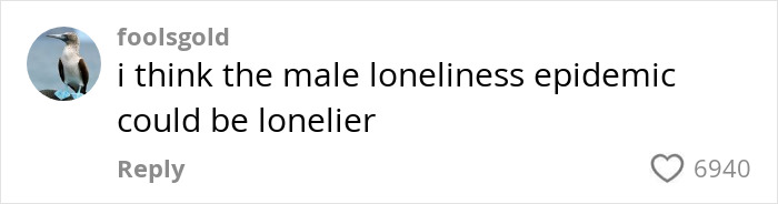 Comment discussing male loneliness with 6940 likes, username foolsgold.